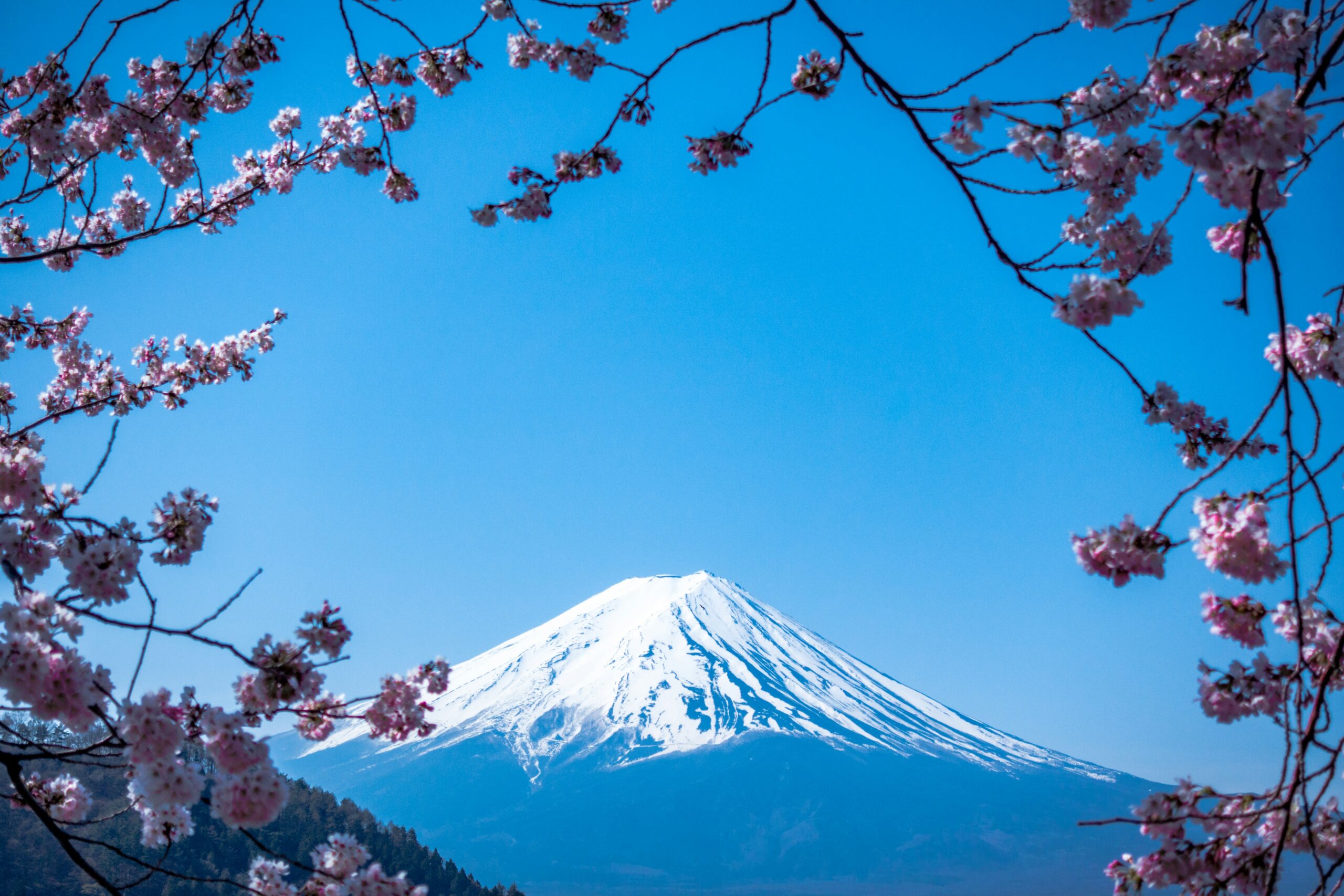 Traveling in Japan: What You Should Know